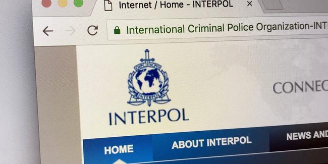 WIE MAN INTERPOL EINEN BETRUG MELDET – TUN SIE ES SOFORT